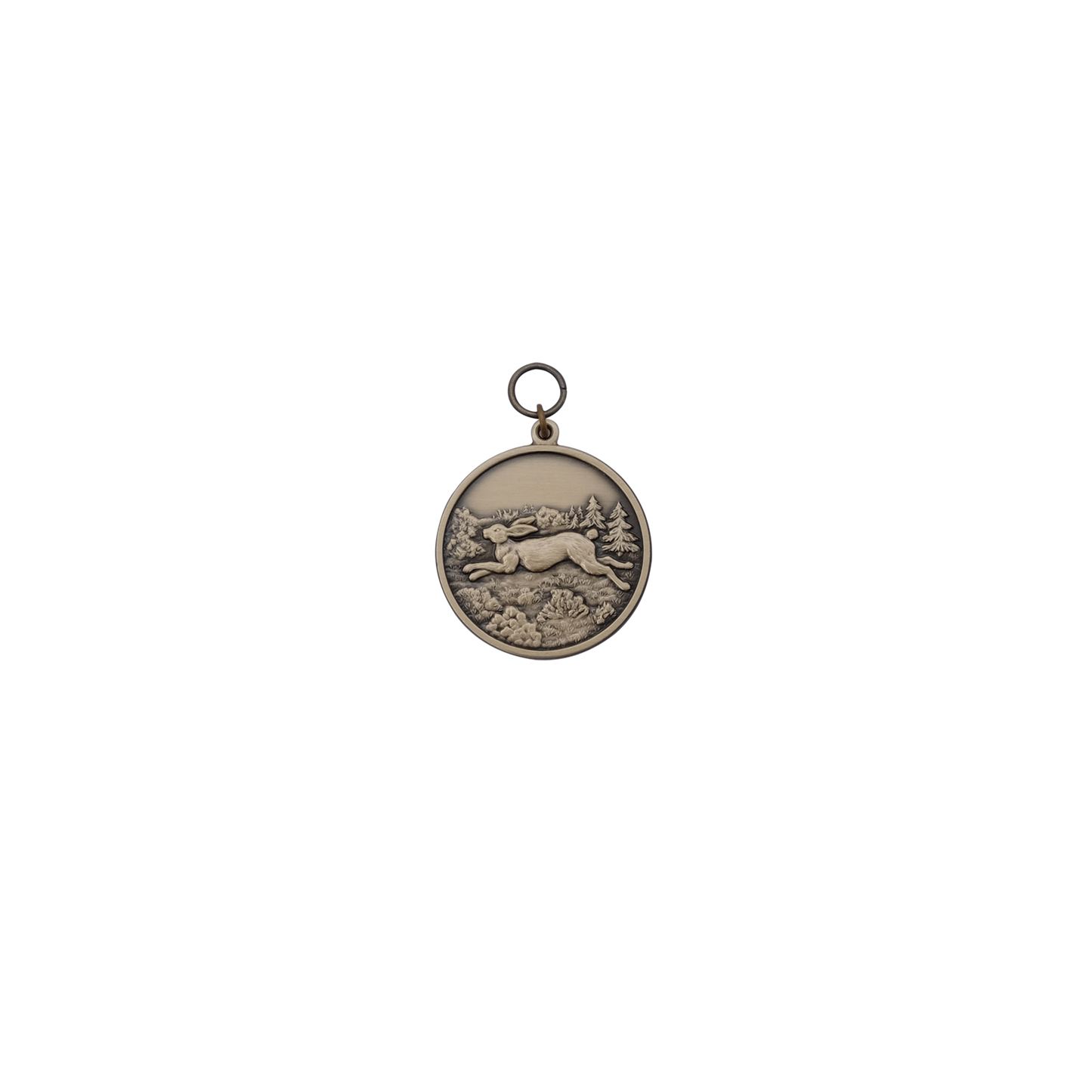 Medaille HASE, Messing, bronzefarbig, mit Öse(n) und Ring(en)