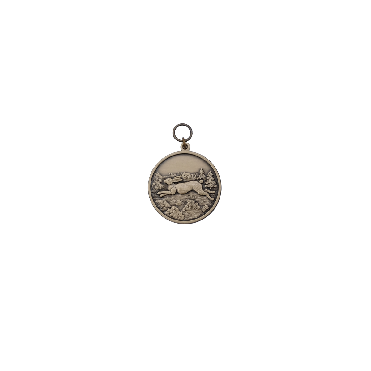 Medaille HASE, Messing, bronzefarbig, mit Öse(n) und Ring(en)