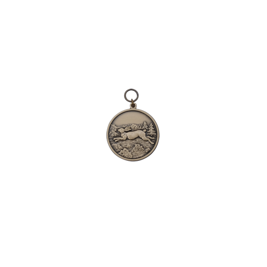 Medaille HASE, Messing, bronzefarbig, mit Öse(n) und Ring(en)