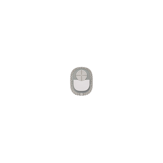 Abzeichen, Messing, altsilber, mit Scharniernadel